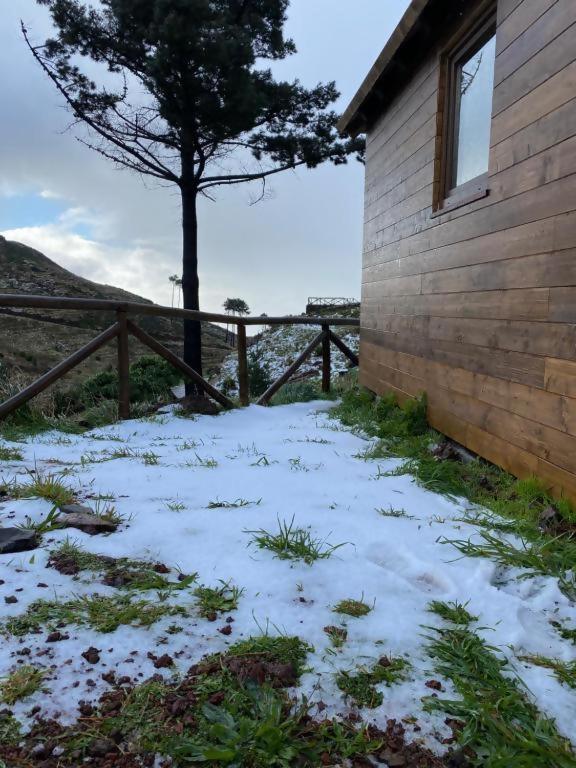 מלון פונשל Mountain Eco Shelter 2 מראה חיצוני תמונה