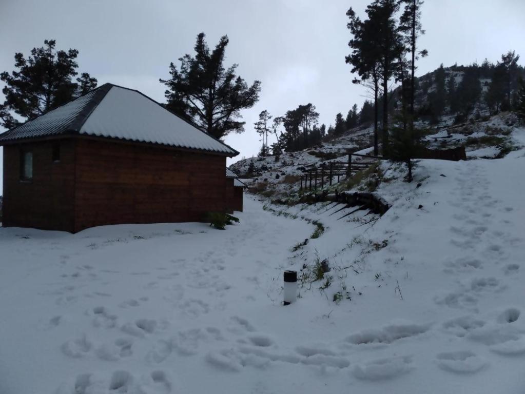מלון פונשל Mountain Eco Shelter 2 מראה חיצוני תמונה