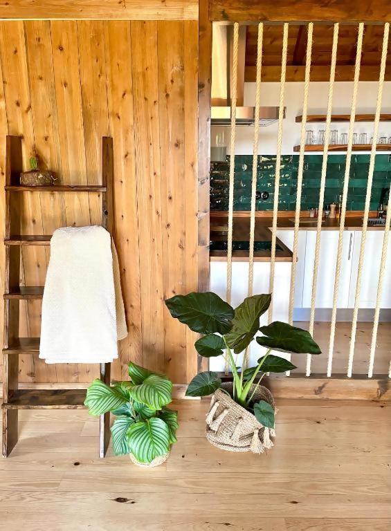 מלון פונשל Mountain Eco Shelter 2 מראה חיצוני תמונה